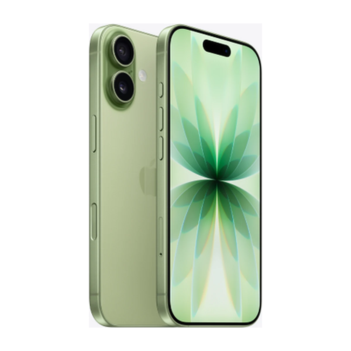 iPhone 17 in Sage, exact-finish product view
